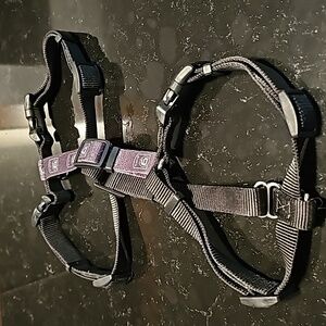 Blue 9 Balance Harness